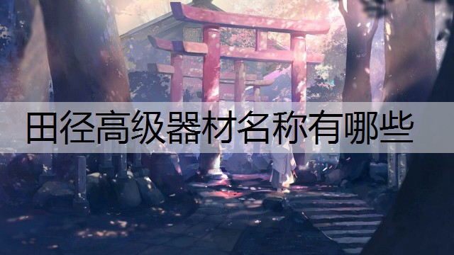 田径高级器材名称有哪些