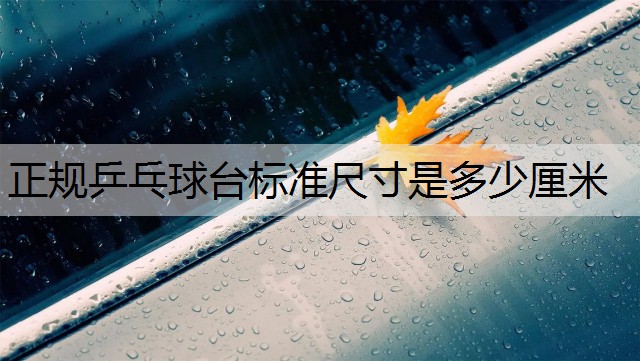 正规乒乓球台标准尺寸是多少厘米