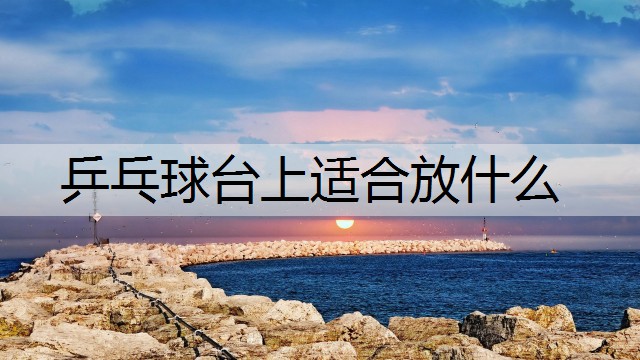 乒乓球台上适合放什么
