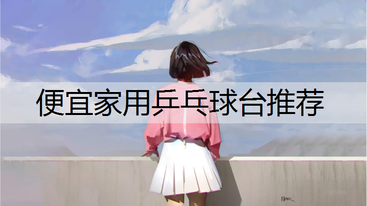 便宜家用乒乓球台推荐