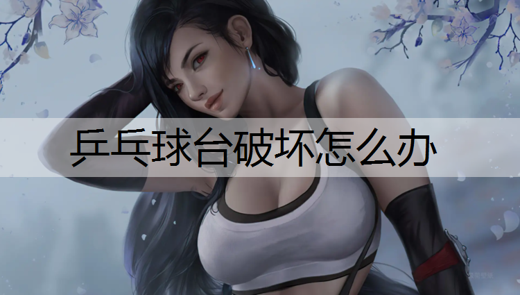 乒乓球台破坏怎么办