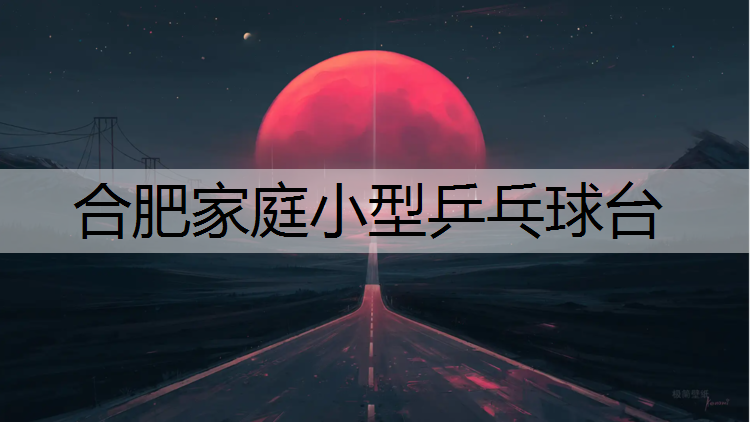 合肥家庭小型乒乓球台