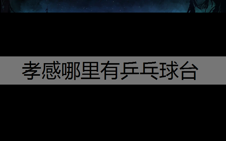 孝感哪里有乒乓球台