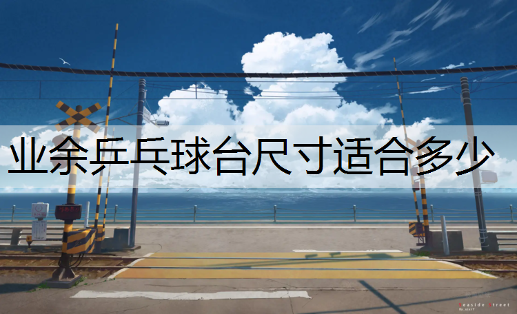 业余乒乓球台尺寸适合多少