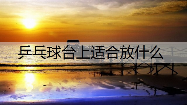 乒乓球台上适合放什么