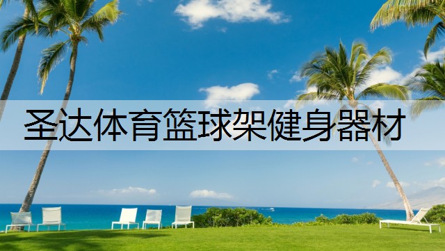 圣达体育篮球架健身器材