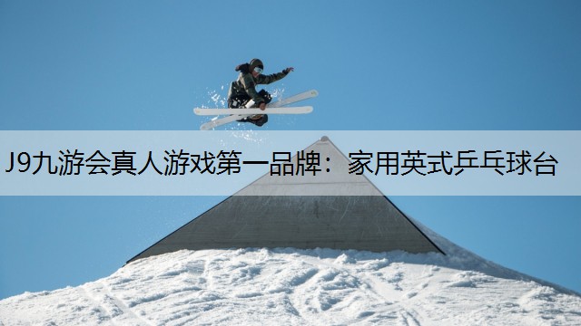 家用英式乒乓球台