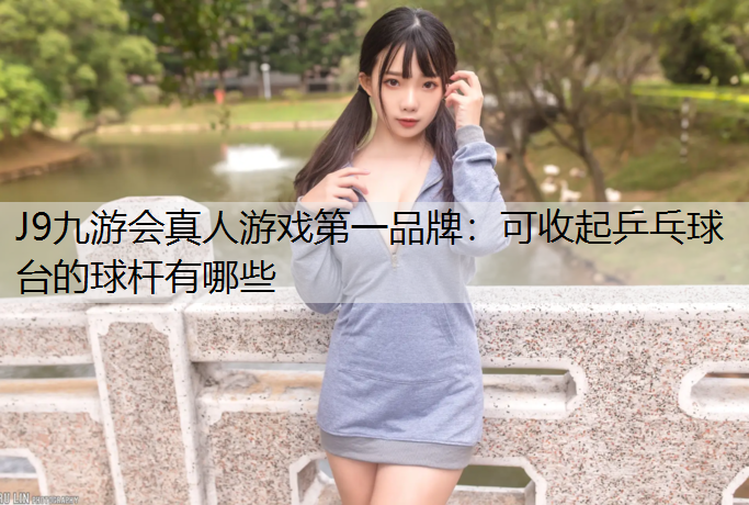 可收起乒乓球台的球杆有哪些