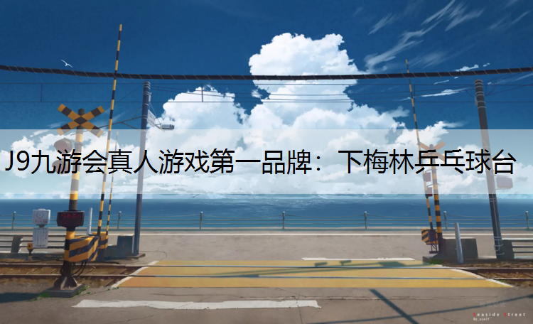 下梅林乒乓球台