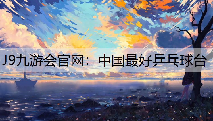 中国最好乒乓球台
