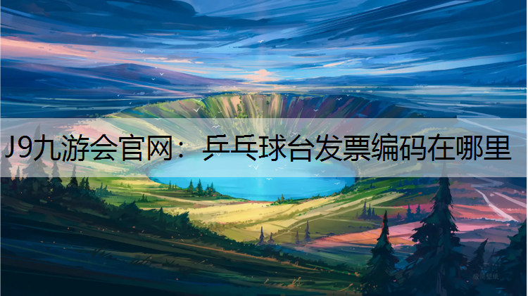 乒乓球台发票编码在哪里