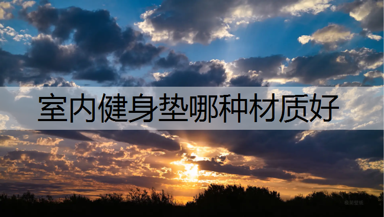室内健身垫哪种材质好