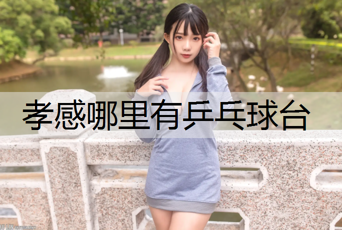 孝感哪里有乒乓球台