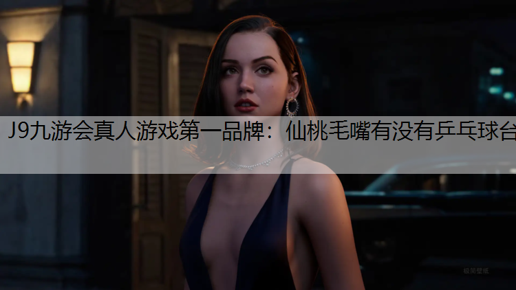 仙桃毛嘴有没有乒乓球台