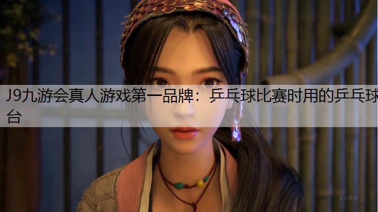 乒乓球比赛时用的乒乓球台